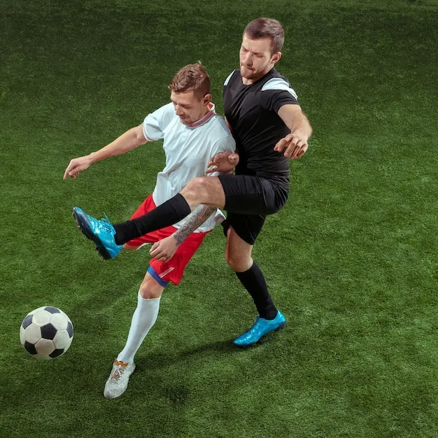 UED体育app 界面展示